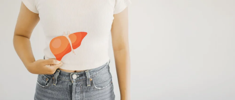 Frau h&auml;lt Leber-Symbol