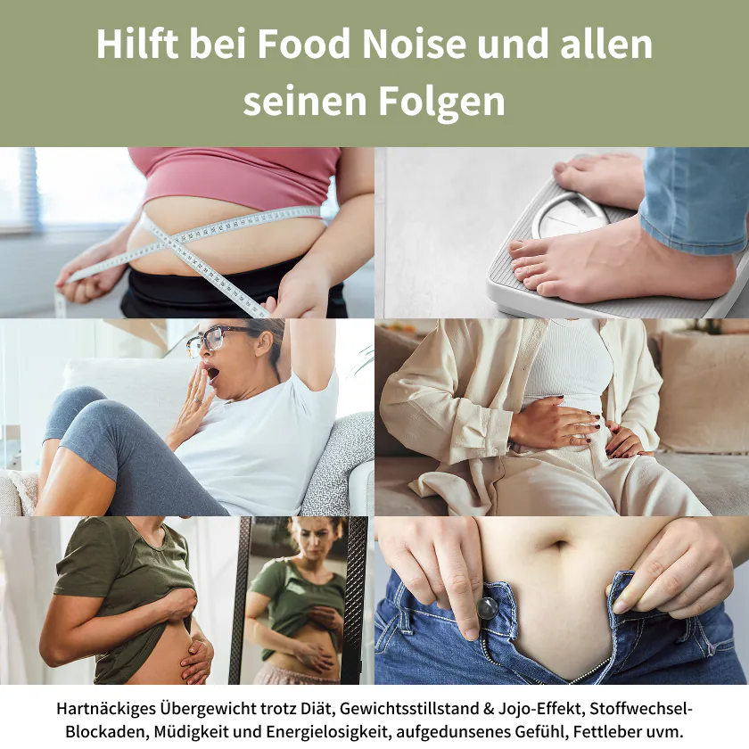 Hepa Plus Inhaltsstoffe