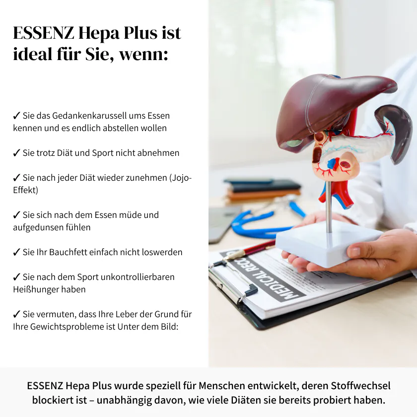 Leberunterstützung natürlich