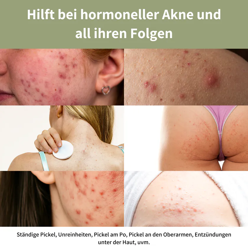 Hepa Plus Inhaltsstoffe