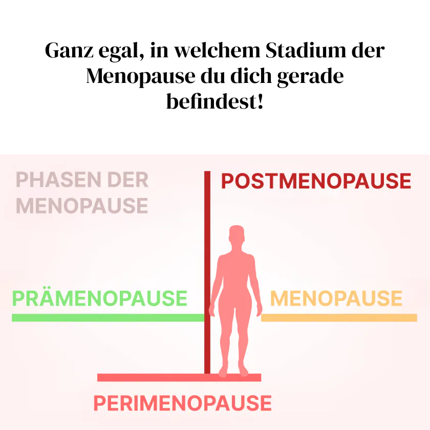 Rotklee MenoFit Anwendung