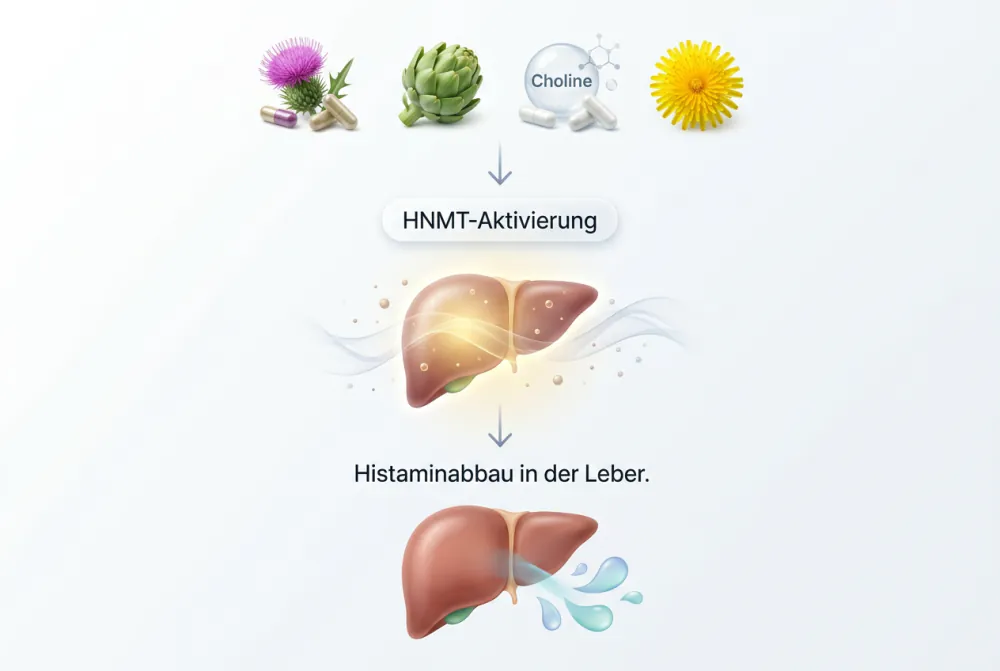 Wirkstoffe bei Histaminintoleranz