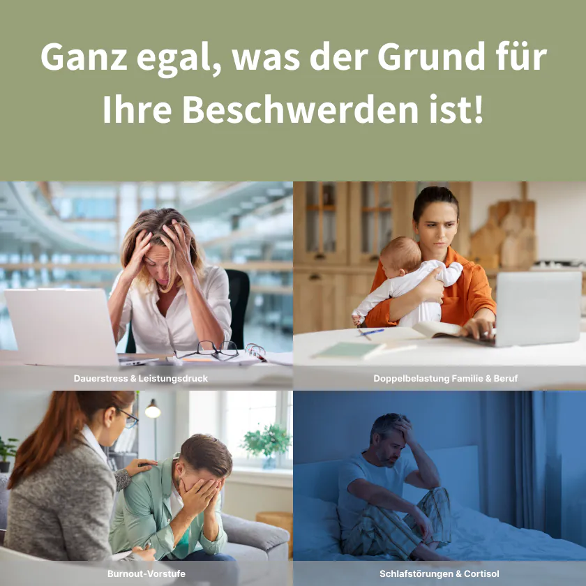 Rhodiola Stress Wirkung